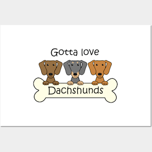 Gotta Love Dachshunds Posters and Art